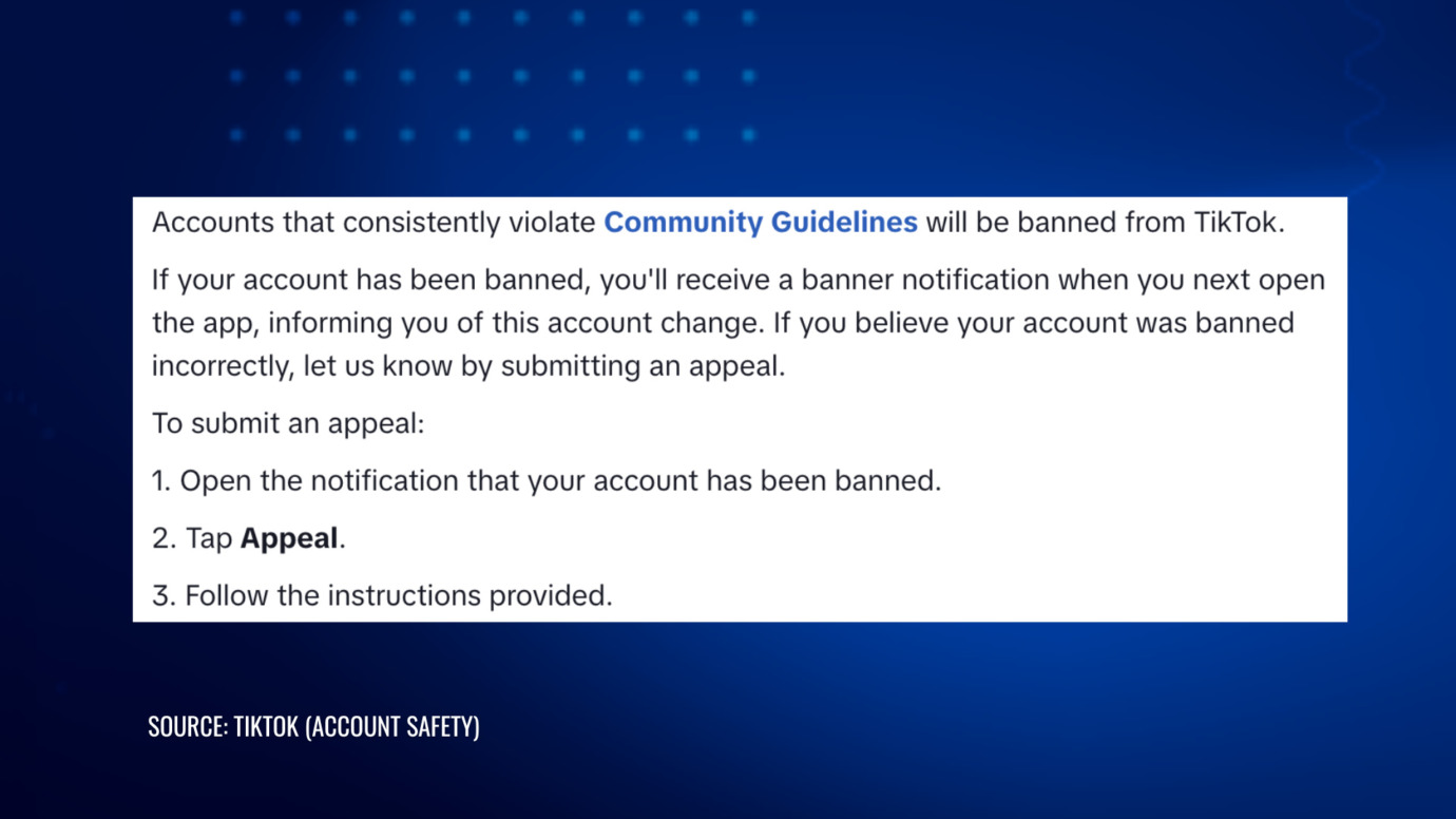 TikTok Account Safety page explaining permanent account bans and how to submit an appeal after a ban